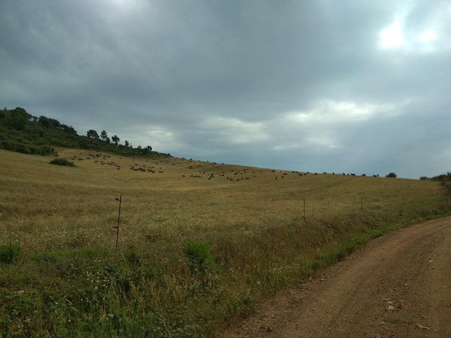 serra do cercal planície