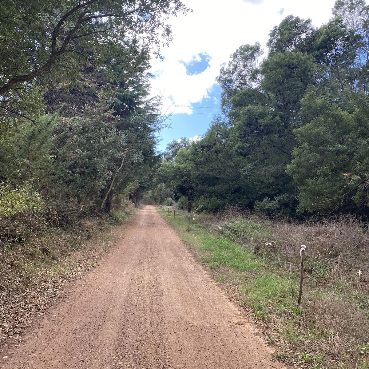 trilho Trilho Cercal do Alentejo a Porto Covo