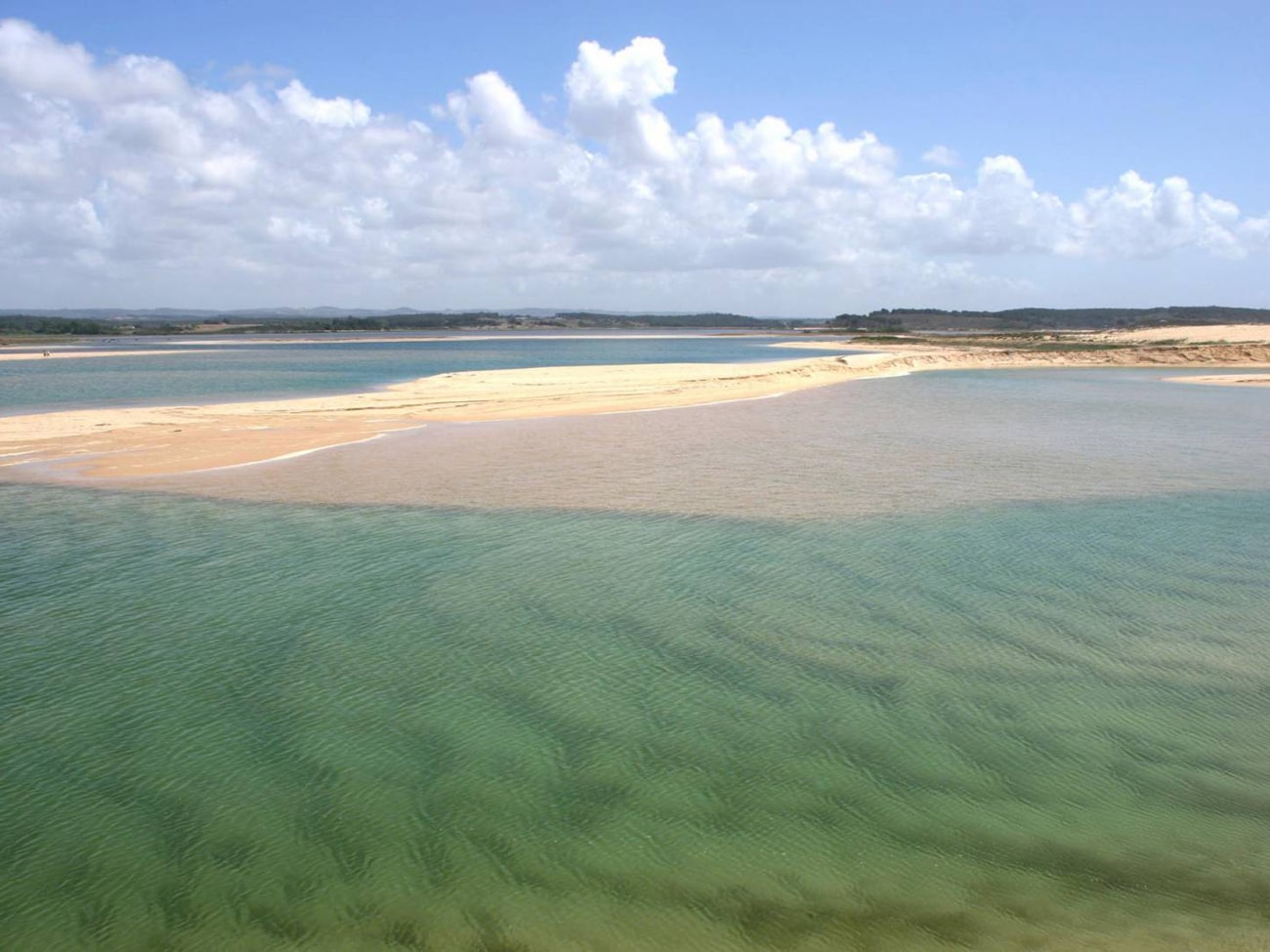 A Reserva Natural das Lagoas de Santo André e da Sancha