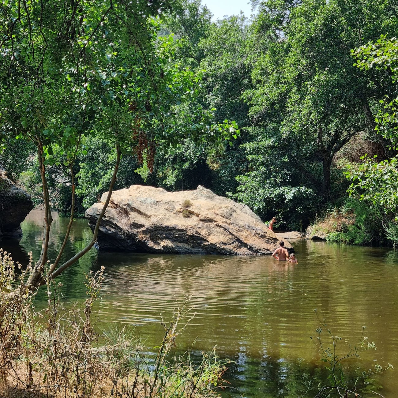 pego da pias alentejo