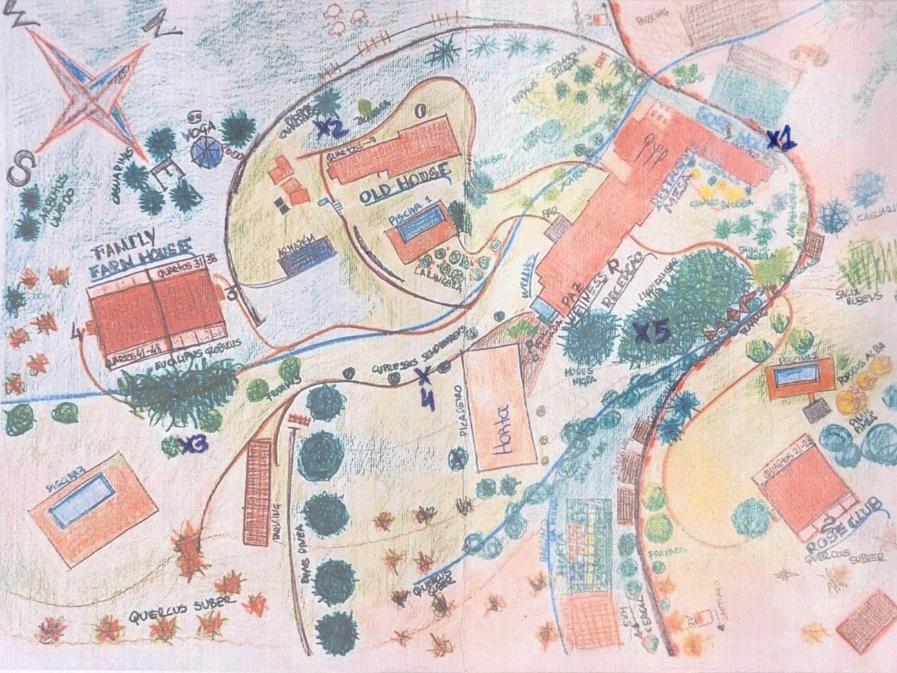 Mapa-caça-ao-tesouro na matinha