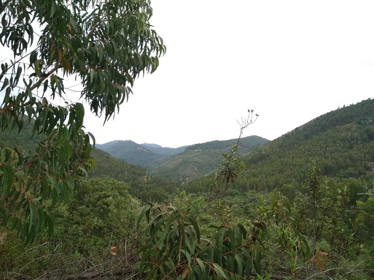 header-serra-do-cercal-min